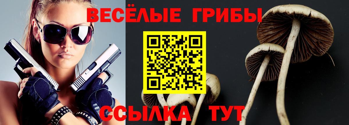 Псилоцибиновые грибы Psilocybine cubensis  Вход с VPN  Хабаровск 